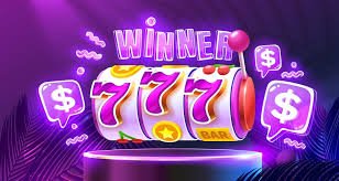 5win8 5win8