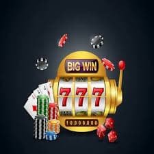 5win8 5win8